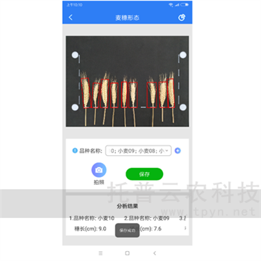 麥穗形態測量儀