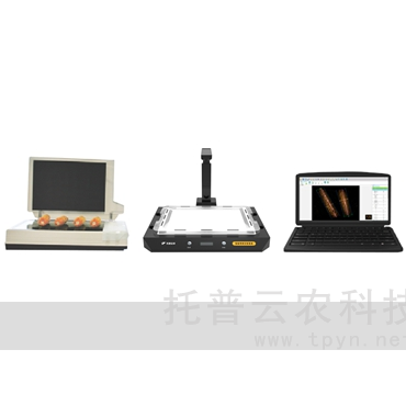 玉米考種分析系統