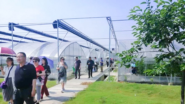 托普云農助力青海省農機信息化，海西州農機中心來杭培訓