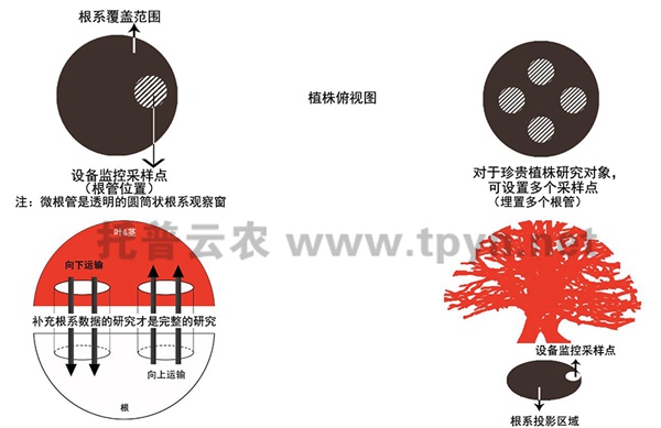 根系顯微生長監測系統