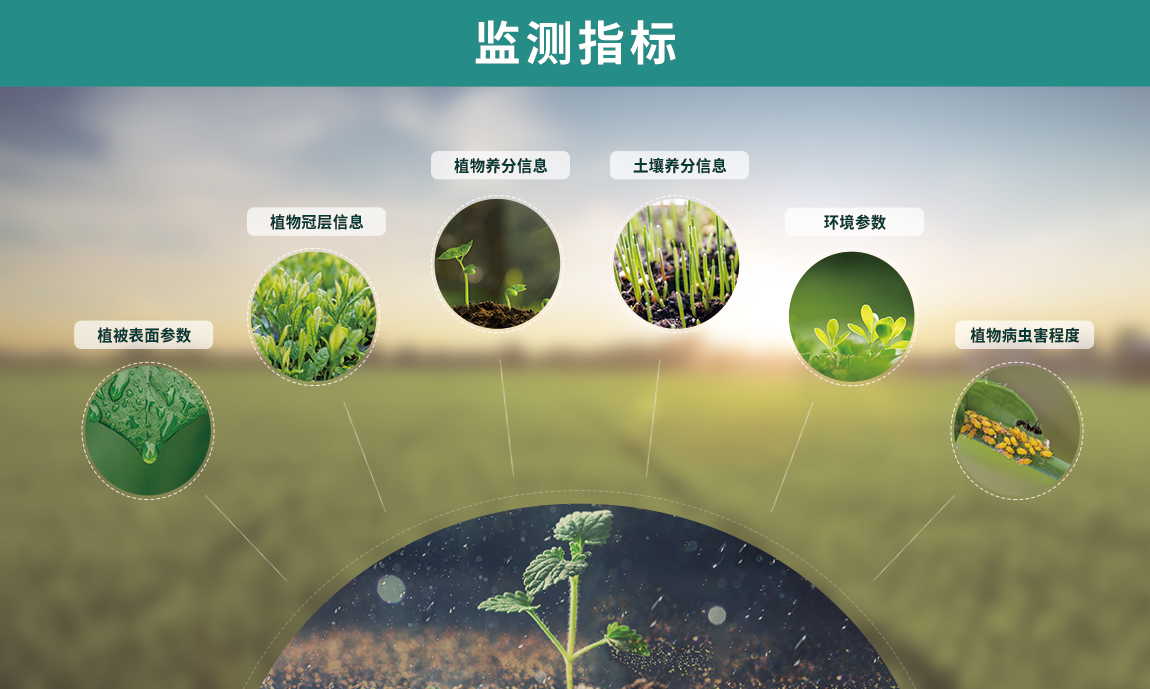 作物冠層分析儀可監(jiān)測指標(biāo)