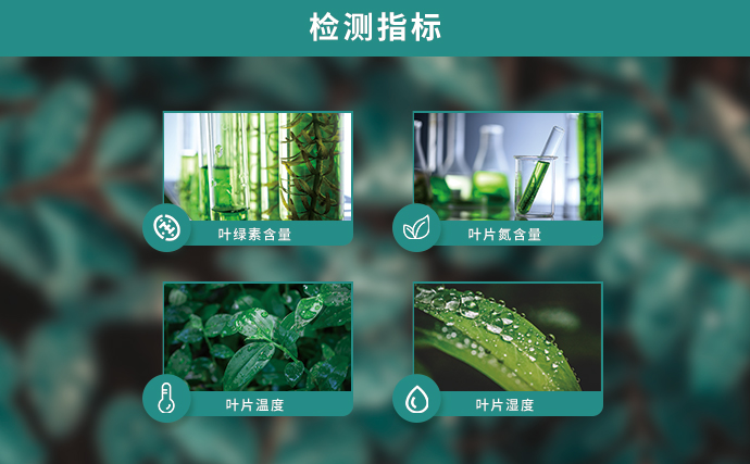 植物營養速測儀可檢測指標