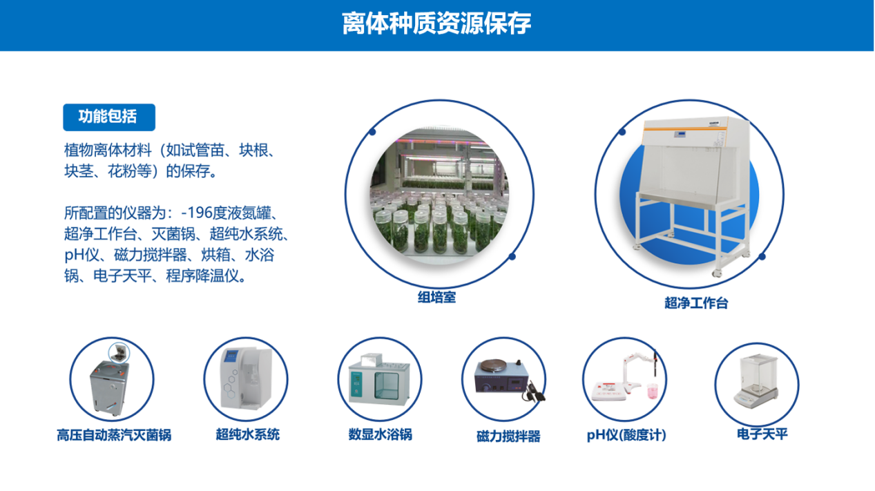 種質資源儀器離體種質資源保存儀器