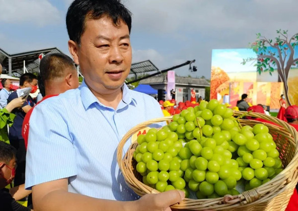 托普云農：以創新致匠心，用科技改變傳統農業