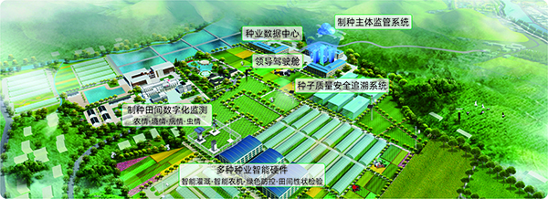 種業基地現代化