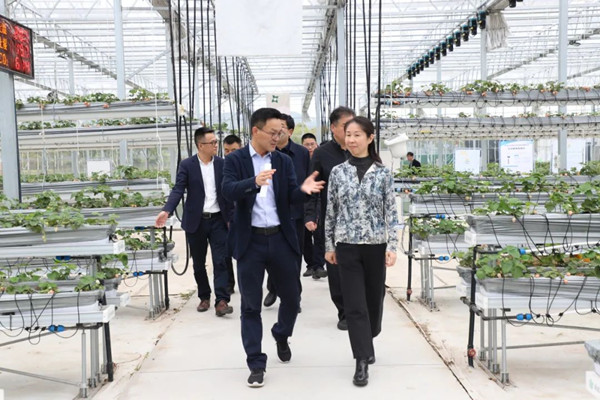 培訓班一行走進示范園，董事長陳渝陽陪同