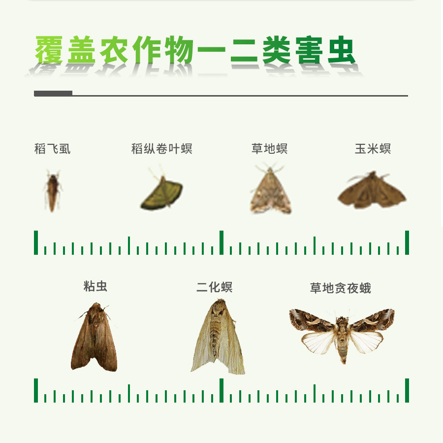 智能蟲情測報系統(tǒng)