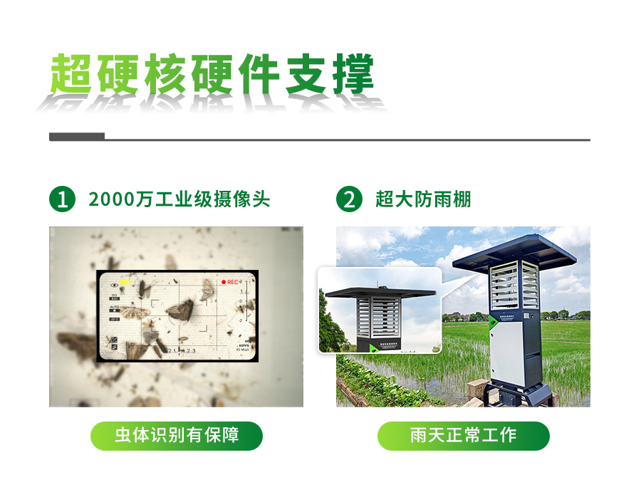 智能蟲情測報系統(tǒng)