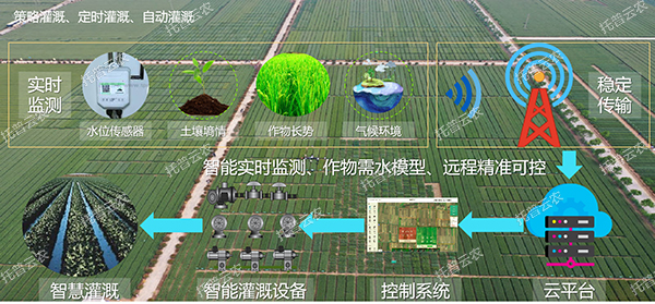 智能灌溉系統——需水灌溉